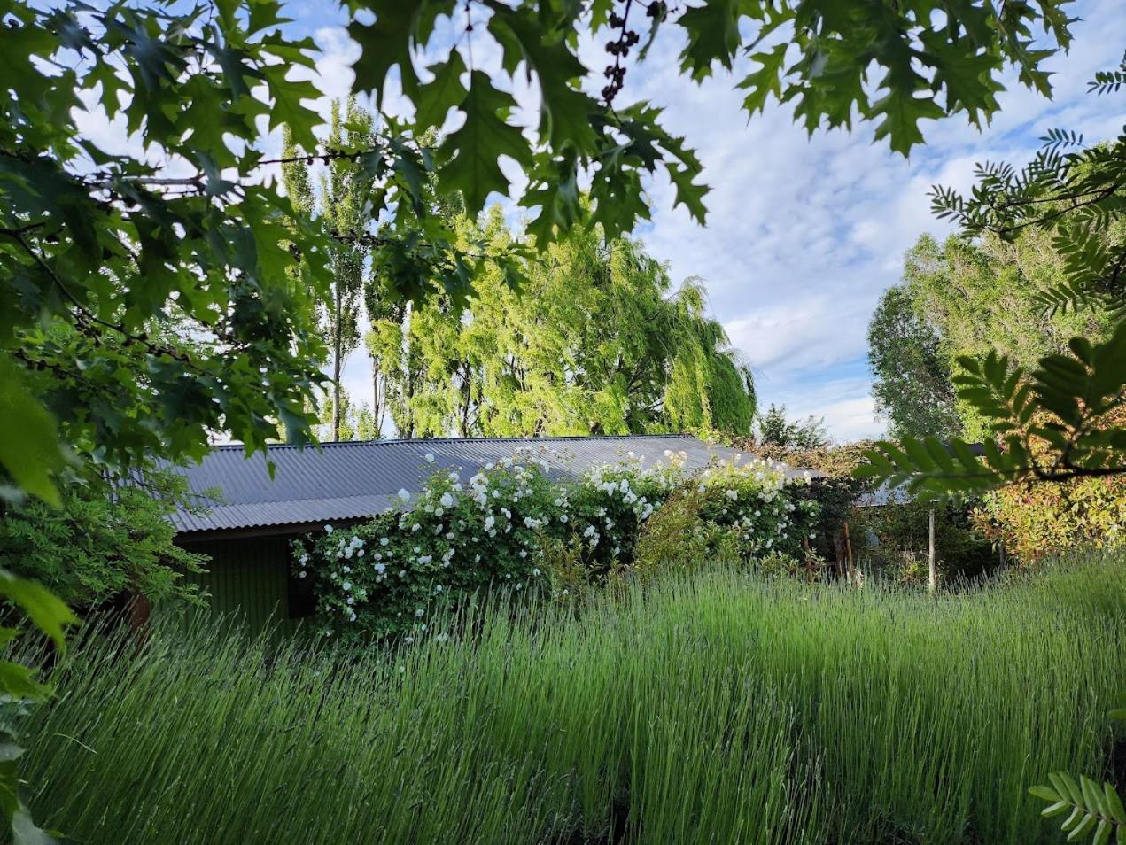 Cabanas La Chacra El Calafate Eksteriør bilde